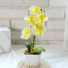 Decoratieve bloemen 5-head Phalaenopsis kunstmatige bloem mini bonsai gesimuleerde boompot planten nep kantoortafel ornament kamer thuisdecoratie