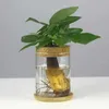 Pflanzer Töpfe Mini Hydroponic Blumentopf Glas Pflanze Vase transparent Terrarium Glasschalte Pflanzen Töpfe Vintage Home Wohnzimmerdekoration