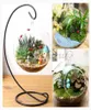 Vasi Clear Flower Plant Stand Appeding Vase Terrarium Contenitore Glass Home Office Home Office Decorazioni per matrimoni9647941