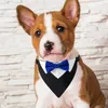 Psa odzież z pensem regulowana klamra garnitur trójkąt szalik ubiór muszki bownot śliniaki