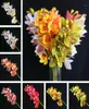 4p künstlich latex cymbidium orchideenblüten 10 köpfe echte teile gute phalaenopsis orchid für Hochzeit dekorative Blume16327702