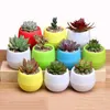 Jardinières pots horticulturels mini bonbons fleuris de fleur semis en plastique Pot de fleur colorée pot succulent pot ménage de bureau décoration tmz