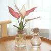 Planteurs Pots Transparent Aquatique Flower Pot Imitation Verre Small Flower Pot Plantation Mini Pot Bureau Verbe Vase Vase Green Vase