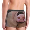 Sous-pants Cool Funny Pig Mnout Boxer Shorts Planchettes Men's confortable Animal Briefes de nez sous-vêtements