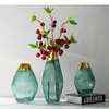 Vazolar altın kaplama cam vazo masası dekorasyon hidroponik çiçekler dekoratif çiçek aranjman modern ev dekor çiçek