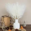 Fiori decorativi 50 cm Pampas soffice erba decorazione boho artificiale per feste di nozze decorazione domestica autunno fiore bouquet finto