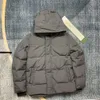 Canda Gosse Designer Jackets Men's Down Parkas Winterwarmer Cotton Luxury Женские пухлые куртки пары утолщенные теплые пальто 368