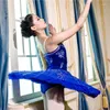 Bühnenbekleidung professionelle Hochwertigkeitsgröße Leistung Erwachsener Frauen Mädchen Blau Samt Ballett Tutu Wettbewerb