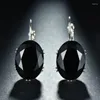 Boucles d'oreilles en peluche 2024Drop Femmes Crystal Tempérament multicolore La mode zircon brillante assister à un banquet