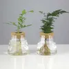 Pflanzer Töpfe Mini Hydroponic Blumentopf Glas Pflanze Vase transparent Terrarium Glasschalte Pflanzen Töpfe Vintage Home Wohnzimmerdekoration