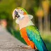 Hundekleidung Vogel Anti-Bite-Kragen Papageienhalle Elizabethaner Genesung Wundkegel für Sittich Conure Cockatiel