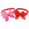 Appareils pour chiens 100pcs accessoires en laine accessoires