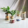 Pflanzer Töpfe Mini Hydroponic Blumentopf Glas Pflanze Vase transparent Terrarium Glasschalte Pflanzen Töpfe Vintage Home Wohnzimmerdekoration