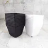 Jardinières pots 10 cm mini plante en plastique fleur cultiver des casks de pépinière