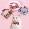 Abbigliamento per cani 2 pcs prodotti per animali domestici Modora per gatti regolabili gioielli Collar Collar Collar Collar Canna