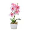 Decoratieve bloemen 5-head Phalaenopsis kunstmatige bloem mini bonsai gesimuleerde boompot planten nep kantoortafel ornament kamer thuisdecoratie