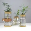 Pflanzer Töpfe Mini Hydroponic Blumentopf Glas Pflanze Vase transparent Terrarium Glasschalte Pflanzen Töpfe Vintage Home Wohnzimmerdekoration