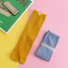 Women Socken Mode Casual Candy Farbe Harajuku weibliche Strumpfwatte zwei Fingerpaare Zehen Mittelröhre