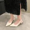 Vestido sapatos femininos na venda 2024 slingbacks saltos altos bombas de clássicos mulheres apontadas de ponta de calcanhar fino senhoras