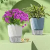 Planteurs Pots Auto-arrosage Hydroponic Flowerpot Double couche Pot de fleur avec eau en plastique en plastique en plastique