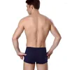 Sous-pants 4pcs / lot hommes Net sous-vêtements Boxershorts Bamboo Sexe Sleepwear Small culotte pour l'homme Pantalon mince en maillage transparent