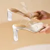 Summer Women Pumps Sandals PVC Jelly Slippers Open Toe High Heels Transparent Perspex Shoes Clear Y240425