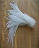 Whole 100pcslot 1214inch pure White Coque rooster hackle tail Feather for Crafts decor8373951