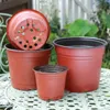 Ekiciler Potlar 50/20pcs Plastik Flowerpots Basit Kreş Fidelik Çiçekleri Tohum Teslim Üreme Çıkarcıları Konteyner Kutusu Bahçe Malzemeleri Aracı