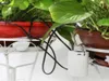 Kits de riego de riego automático de micro domicilio rociador del sistema con controlador inteligente para bonsai de jardín uso interior total 26239721