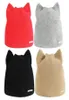 Baskull Caps coréenne Version Couleur solide Simple Warm Earmuffs pour femmes Bons de chat Cat Vold-oreilles Ladies Skullies Touca Cap12794651
