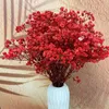 装飾的な花赤赤ちゃんの息乾燥花瓶の家の装飾ヴィンテージロマンチックな多才なホリデーテーマdiyクラフト年