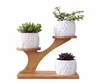 2 style ceramiczne soczyste garnki donica ogrodowy dla roślin Bonsai garnek bambusowe stojaki