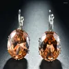 Boucles d'oreilles en peluche 2024Drop Femmes Crystal Tempérament multicolore La mode zircon brillante assister à un banquet