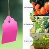 Piantatrici pentole 100pcs piante etichette vasi di fiori marcatori firma etichette di fiore di giardinaggio ornamenti piastra di scrittura di plastica PVC impermeabile d4