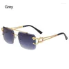 Sunglasses Fashion Metal Leopard Rimless Double Bridges Gradient Shades UV400 Punk Glasses