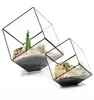 Geometric Cubes Glass Terrarium Home Decor Plant Fleshy Flower Holder Vase Pot Y031427069936066690