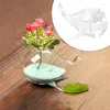 Vasen transparente Glas Vase niedliche Walform Pflanze Blütenarrangement Behälter Hydroponic Pot Home Tabletop Dekor Ornamente