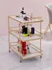 Figurines décoratives TQH TQU BEAUTY TROLY Rangement Tool Mobile Tool Small Microdermabrasion Machine Rack