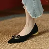 Scarpe eleganti in metallo puscate puntate donne donne moda 2024 autunno primaverile per tacchi a basso contenuto di leopardo