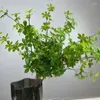 Fleurs décoratives feuilles de cloche artificielle réel touche fausse plante pour chambre à coucher simulation de chambre à coucher