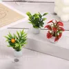 Flores decorativas plantas en macetas mini decoraciones de paisaje de plástico Diseño de escritorio modelos falsos de plantas verdes
