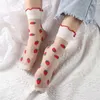 Mulheres meias de verão transparente transparente calça elegante moda morango renda feminina japonesa fofa de faculdade de faculdade de respiração fofa