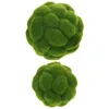 Decorative Flowers 2 Pcs Decorations Simulated Moss Ball Artificial Balls For Plastic Preserved Bulk