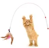 Kotek różdżka z piórką zabawką stalową drut interaktywne pulch pulch kocita kittentraining Ćwiczenie zwiastun głów