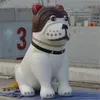 En gros de 8mh (26 pieds) avec soufflerie personnalisée à l'extérieur Modèle de chien gonflable Jaune ou coloré de dessins animaux de dessin animé pour animaux de compagnie pour la promotion de la boutique Publicité