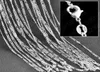 10pcsLot 2mm Figaro Chain 925 Sterling Silver Jewelry Necklace Chains with Lobster Clasps Size 16 18 20 22 24 26 28 30 Inch5381777