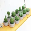 Kwiaty dekoracyjne kaktus sztuczne rośliny z garnkiem fałszywy wystrój domu bonsai do salonu 2024 nastolatki zielone rośliny sztuczne dekoracje
