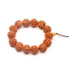 Strand Wholesale Nepal Rudraksha 16mm-17mm Bracciale a mano Bracciale Jingang Seed Tree perline