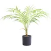 Decorative Flowers Plastic Adorn Home Stunning Artificial Plant Fake Palm Tree In Pot Realistic Details