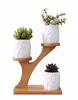 2 stijlen keramische sappige potten tuinplanter voor planten bonsai pot bamboe planten standaard sets y09108044803